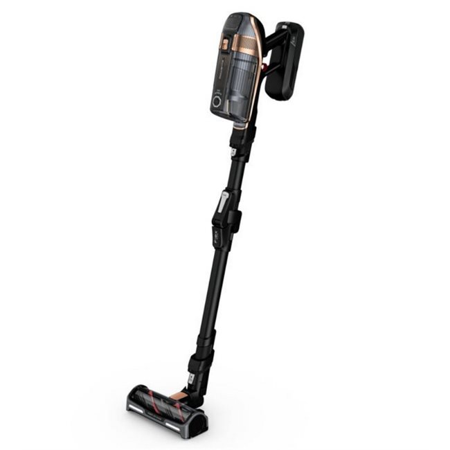 ROWENTA RH99G3 ���������������� ������ Stick